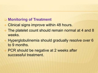  Monitoring of Treatment
 Clinical signs improve within 48 hours.
 The platelet count should remain normal at 4 and 8
weeks.
 Hyperglobulinemia should gradually resolve over 6
to 9 months.
 PCR should be negative at 2 weeks after
successful treatment.
 