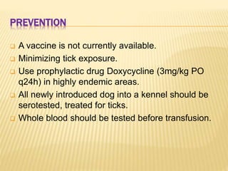 PREVENTION
 A vaccine is not currently available.
 Minimizing tick exposure.
 Use prophylactic drug Doxycycline (3mg/kg PO
q24h) in highly endemic areas.
 All newly introduced dog into a kennel should be
serotested, treated for ticks.
 Whole blood should be tested before transfusion.
 