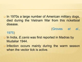  In 1970s a large number of American military dogs,
died during the Vietnam War from this rickettsial
disease.
(Groves et al.,
1975)
 In India, E.canis was first reported in Madras by
Mudaliar 1944.
 Infection occurs mainly during the warm season
when the vector tick is active.
 