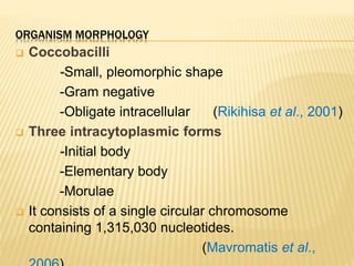 ORGANISM MORPHOLOGY
 Coccobacilli
-Small, pleomorphic shape
-Gram negative
-Obligate intracellular (Rikihisa et al., 2001)
 Three intracytoplasmic forms
-Initial body
-Elementary body
-Morulae
 It consists of a single circular chromosome
containing 1,315,030 nucleotides.
(Mavromatis et al.,
 