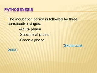 PATHOGENESIS
 The incubation period is followed by three
consecutive stages:
-Acute phase
-Subclinical phase
-Chronic pha...