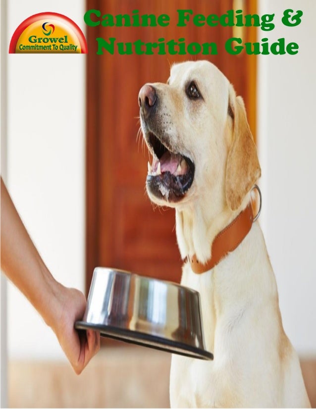 Canine Feeding & Nutrition Guide