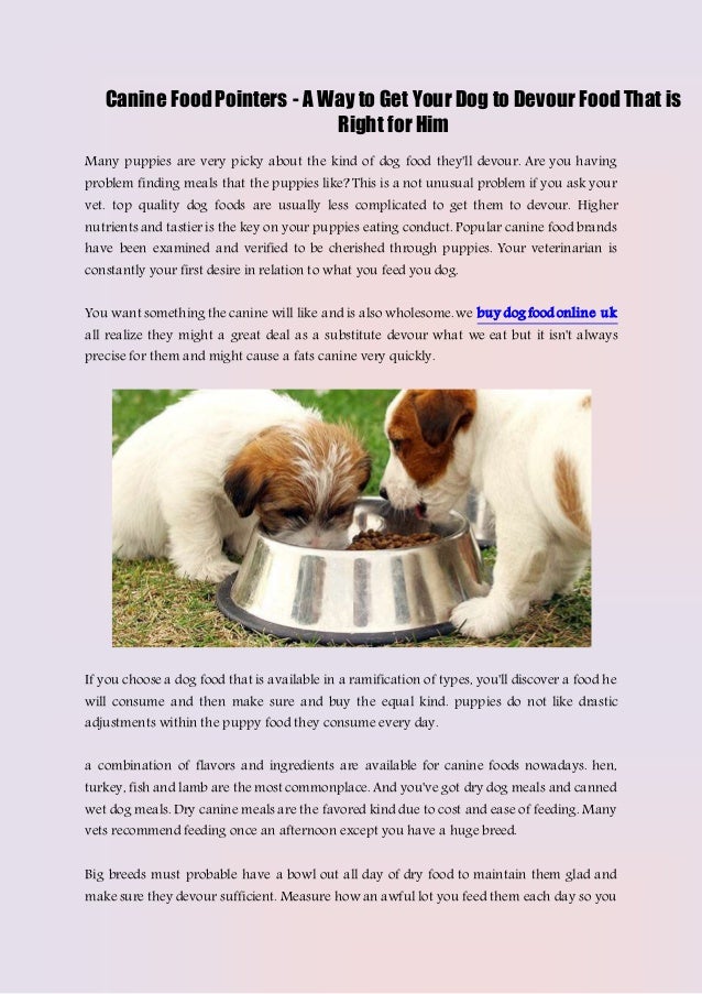 Canine Food Pointers