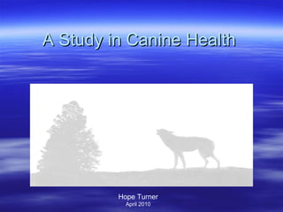 A Study in Canine Health  Hope Turner April 2010 