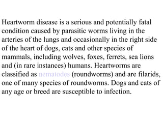 Heartworm disease is a serious and potentially fatal condition caused by parasitic worms living in the arteries of the lungs and occasionally in the right side of the heart of dogs, cats and other species of mammals, including wolves, foxes, ferrets, sea lions and (in rare instances) humans. Heartworms are classified as  nematodes  (roundworms) and are filarids, one of many species of roundworms.   Dogs and cats of any age or breed are susceptible to infection. 