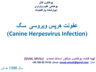 ‫سگ‬ ‫ویروسی‬ ‫هرپس‬ ‫عفونت‬
(Canine Herpesvirus Infection)
‫کابل‬ ‫پوهنتون‬
‫وترنری‬ ‫علوم‬ ‫ی‬ً‫پوهنح‬
‫پاراکلینیک‬ ‫دیپارتمنت‬
‫کننده‬ ‫تهیه‬:‫صمدی‬ ‫اسدهللا‬ ‫دوکتور‬ ‫پوهندوی‬(DVM, MVSc)
‫ایمیل‬:assad.samadi@gmail.com‫موبایل‬ ،:+93 785 65 74 56
‫سال‬1396‫ش‬ ‫هـ‬
 