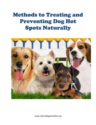 Methods to Treating and
  Preventing Dog Hot
    Spots Naturally




       www.naturaldogremedies.org
 
