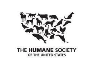 Canine humane society