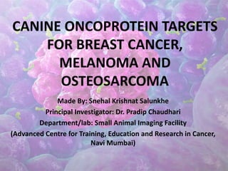 CANINE ONCOPROTEIN TARGETS
FOR BREAST CANCER,
MELANOMA AND
OSTEOSARCOMA
Made By: Snehal Krishnat Salunkhe
Principal Investigator: Dr. Pradip Chaudhari
Department/lab: Small Animal Imaging Facility
(Advanced Centre for Training, Education and Research in Cancer,
Navi Mumbai)
 