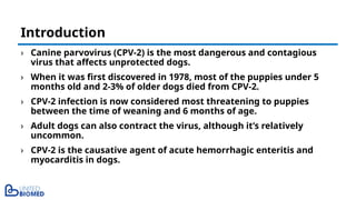 Canine Parvo in Pet Animal_Complete Review | PPTX