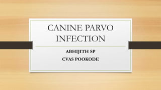 CANINE PARVO
INFECTION
ABHIJITH SP
CVAS POOKODE
 