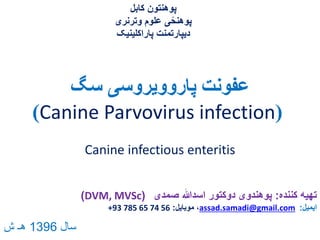 ‫سگ‬ ‫پاروویروسی‬ ‫عفونت‬
(Canine Parvovirus infection)
‫کننده‬ ‫تهیه‬:‫صمدی‬ ‫اسدهللا‬ ‫دوکتور‬ ‫پوهندوی‬(DVM, MVSc)
‫ایمیل‬:assad.samadi@gmail.com‫موبایل‬ ،:+93 785 65 74 56
‫کابل‬ ‫پوهنتون‬
‫وترنری‬ ‫علوم‬ ‫ی‬ً‫پوهنح‬
‫پاراکلینیک‬ ‫دیپارتمنت‬
Canine infectious enteritis
‫سال‬1396‫ش‬ ‫هـ‬
 