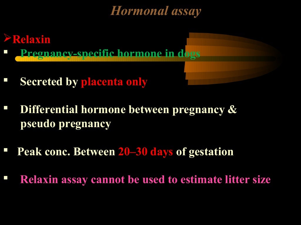 Canine pregnancy diagnosis