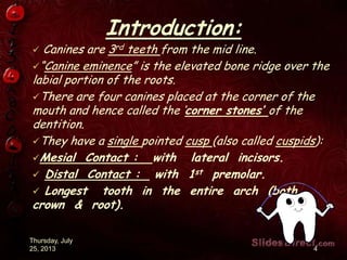 Introduction:
 Canines are 3rd teeth from the mid line.
“Canine eminence” is the elevated bone ridge over the
labial portion of the roots.
There are four canines placed at the corner of the
mouth and hence called the „corner stones’ of the
dentition.
They have a single pointed cusp (also called cuspids):
Mesial Contact : with lateral incisors.
 Distal Contact : with 1st premolar.
 Longest tooth in the entire arch (both
crown & root).
Thursday, July
25, 2013 4
 