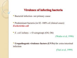 Virulence of infecting bacteriaVirulence of infecting bacteria
 Bacterial infection- not primary cause
 Predominant bacteria (in 82–100% of clinical cases):
Escherichia coli
 E. coli isolates → O serogroups (O4, O6)
(Wadas et al, 1996)
 Uropathogenic virulence factors (UVFs) for extra-intestinal
infection
(Yuri et al, 1999)
 