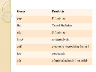 Genes Products
pap P fimbriae
fim Type1 fimbriae
sfa S fimbriae
hlyA α-haemolysin
cnf1 cytotoxic necrotising factor 1
iuc aerobactin
afa afimbrial adhesin 1 or Afa1
 
