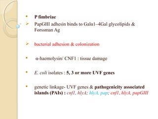  P fimbriae
 PapGIII adhesin binds to Galα1–4Gal glycolipids &
Forssman Ag
 bacterial adhesion & colonization
 α-haemolysin/ CNF1 : tissue damage
 E. coli isolates : 5, 3 or more UVF genes
 genetic linkage- UVF genes & pathogenicity associated
islands (PAIs) : cnf1, hlyA; hlyA, pap; cnf1, hlyA, papGIII
 