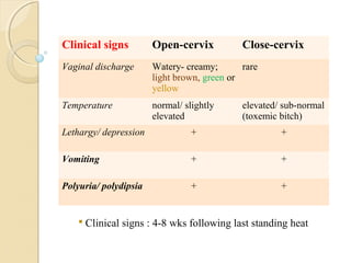 Clinical signs Open-cervix Close-cervix
Vaginal discharge Watery- creamy;
light brown, green or
yellow
rare
Temperature normal/ slightly
elevated
elevated/ sub-normal
(toxemic bitch)
Lethargy/ depression + +
Vomiting + +
Polyuria/ polydipsia + +
 Clinical signs : 4-8 wks following last standing heat
 