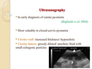 UltrasonographyUltrasonography
 In early diagnosis of canine pyometra
(Bigliardi et al; 2004)
 Most valuable in closed-cervix pyometra
 Uterine wall- increased thickness/ hypoechoic
 Uterine lumen- grossly dilated/ anechoic fluid with
small echogenic particles
 