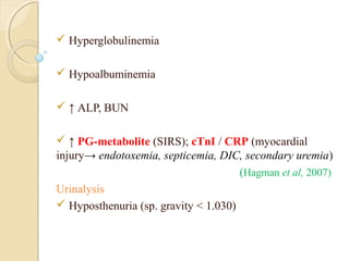  Hyperglobulinemia
 Hypoalbuminemia
 ↑ ALP, BUN
 ↑ PG-metabolite (SIRS); cTnI / CRP (myocardial
injury→ endotoxemia, septicemia, DIC, secondary uremia)
(Hagman et al, 2007)
Urinalysis
 Hyposthenuria (sp. gravity < 1.030)
 