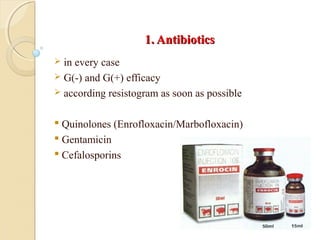 1. Antibiotics1. Antibiotics
 in every case
 G(-) and G(+) efficacy
 according resistogram as soon as possible
 Quinolones (Enrofloxacin/Marbofloxacin)
 Gentamicin
 Cefalosporins
 