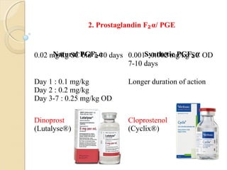 Natural PGF₂α Synthetic PGF₂α0.02 mg/kg SC bid 7-10 days 0.001– 0.002 mg/kg SC OD
7-10 days
Day 1 : 0.1 mg/kg
Day 2 : 0.2 mg/kg
Day 3-7 : 0.25 mg/kg OD
Longer duration of action
Dinoprost
(Lutalyse®)
Cloprostenol
(Cyclix®)
2. Prostaglandin F₂α/ PGE
 