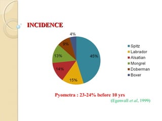 INCIDENCEINCIDENCE
Pyometra : 23-24% before 10 yrs
(Egenvall et al, 1999)
 