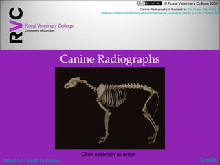 Canine Radiographs Click skeleton to enter   Credits Canine Radiographs is licensed by  The Royal Veterinary College  under a   Creative Commons Attribution-Noncommercial-No Derivative Works 2.0 UK: England & Wales License     What do I need to know? 