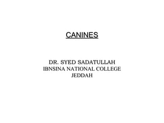 CANINESCANINES
DR. SYED SADATULLAHDR. SYED SADATULLAH
IBNSINA NATIONAL COLLEGEIBNSINA NATIONAL COLLEGE
JEDDAHJEDDAH
 