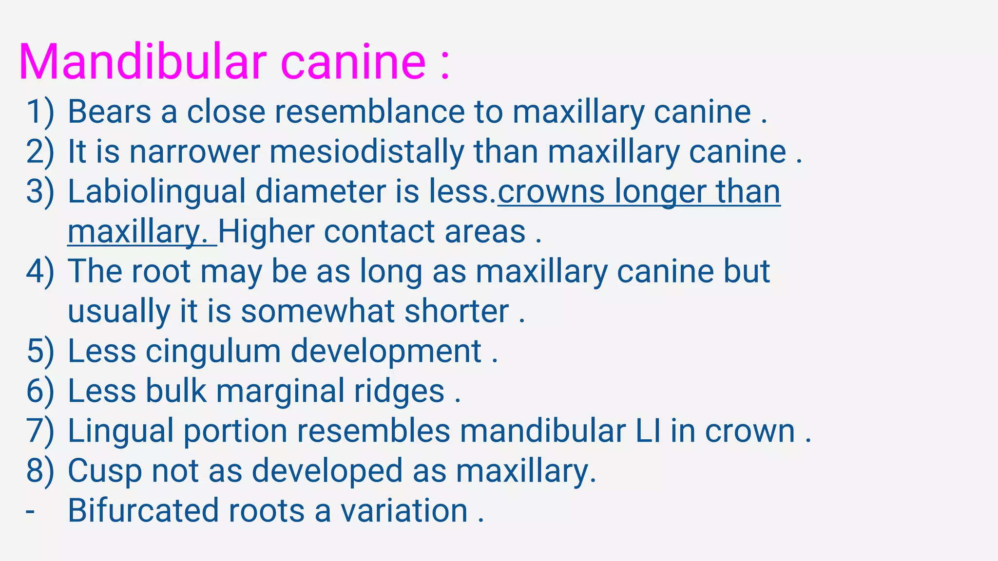 Mandibular canine :
1) Bears a close resemblance to maxillary canine .
2) It is narrower mesiodistally than maxillary canine .
3) Labiolingual diameter is less.crowns longer than
maxillary. Higher contact areas .
4) The root may be as long as maxillary canine but
usually it is somewhat shorter .
5) Less cingulum development .
6) Less bulk marginal ridges .
7) Lingual portion resembles mandibular LI in crown .
8) Cusp not as developed as maxillary.
- Bifurcated roots a variation .
 