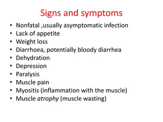 Signs and symptoms
• Nonfatal ,usually asymptomatic infection
• Lack of appetite
• Weight loss
• Diarrhoea, potentially bloody diarrhea
• Dehydration
• Depression
• Paralysis
• Muscle pain
• Myositis (inflammation with the muscle)
• Muscle atrophy (muscle wasting)
 