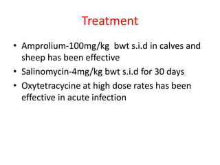 Treatment
• Amprolium-100mg/kg bwt s.i.d in calves and
sheep has been effective
• Salinomycin-4mg/kg bwt s.i.d for 30 days
• Oxytetracycine at high dose rates has been
effective in acute infection
 