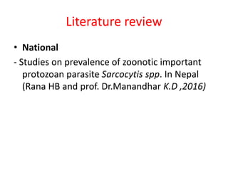 Literature review
• National
- Studies on prevalence of zoonotic important
protozoan parasite Sarcocytis spp. In Nepal
(Rana HB and prof. Dr.Manandhar K.D ,2016)
 