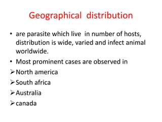 Geographical distribution
• are parasite which live in number of hosts,
distribution is wide, varied and infect animal
worldwide.
• Most prominent cases are observed in
North america
South africa
Australia
canada
 