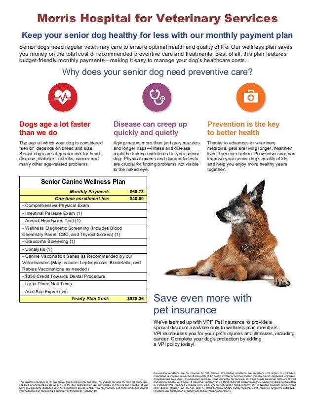 canine-senior-wellness-plan