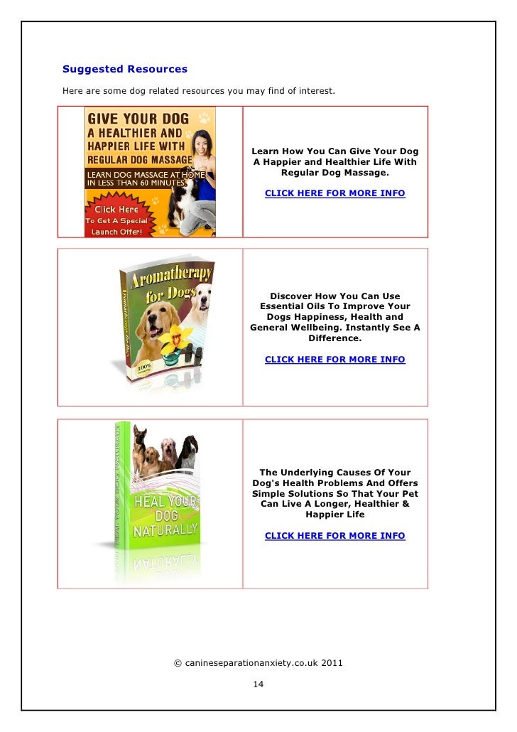 Dealing With Separation Anxiety In Dogs Uk Dealing With Separation Anxiety In Dogs Uk