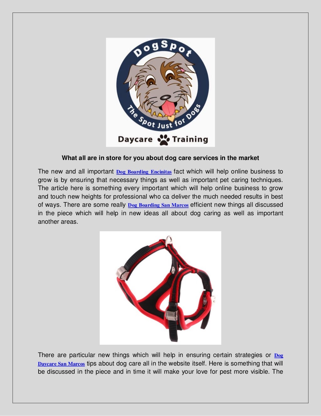 Canine Training Dog Boarding San Marcos