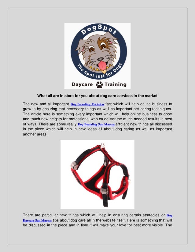 Canine Training Dog Boarding San Marcos