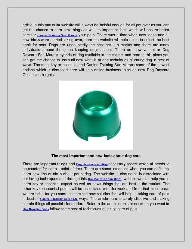 Canine Training Dog Boarding San Marcos