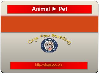 http://dogspot.biz
Animal ► Pet
 