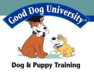 Canine university