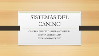 SISTEMAS DEL
CANINO
CLAUDIA PATRCIA CASTIBLANCO SIERRA
MEDICA VETERINARIA
20 DE AGOSTO DE 2023
 