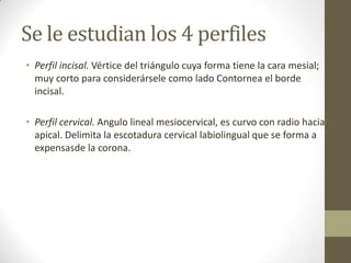Se le estudian los 4 perfiles
• Perfil incisal. Vértice del triángulo cuya forma tiene la cara mesial;
muy corto para considerársele como lado Contornea el borde
incisal.
• Perfil cervical. Angulo lineal mesiocervical, es curvo con radio hacia
apical. Delimita la escotadura cervical labiolingual que se forma a
expensasde la corona.
 