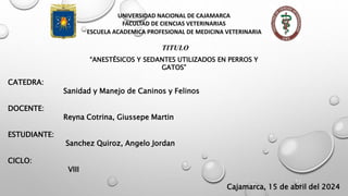 UNIVERSIDAD NACIONAL DE CAJAMARCA
FACULTAD DE CIENCIAS VETERINARIAS
ESCUELA ACADEMICA PROFESIONAL DE MEDICINA VETERINARIA
TITULO
“ANESTÉSICOS Y SEDANTES UTILIZADOS EN PERROS Y
GATOS”
CATEDRA:
Sanidad y Manejo de Caninos y Felinos
DOCENTE:
Reyna Cotrina, Giussepe Martin
ESTUDIANTE:
Sanchez Quiroz, Angelo Jordan
CICLO:
VIII
Cajamarca, 15 de abril del 2024
 