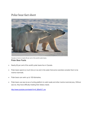 Polar bear fact sheet
Canada is home to nearly 60 per cent of the world's polar bears.
Polar Bear Facts
 Nearly 60 per cent of the world's polar bears live in Canada.
 Polar bears spend so much time on ice and in the water that some scientists consider them to be
marine mammals.
 Polar bears can swim up to 100 kilometres.
 Polar bears use sea ice as a hunting platform to catch seals and other marine mammal prey. Without
sea ice, they have difficulty meeting their dietary needs.
http://www.youtube.com/watch?v=6_QDaXJT_ms
 