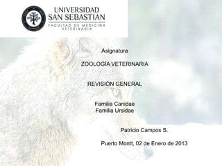 Asignatura

ZOOLOGÍA VETERINARIA


 REVISIÓN GENERAL


    Familia Canidae
    Familia Ursidae


             Patricio Campos S.

      Puerto Montt, 02 de Enero de 2013
 