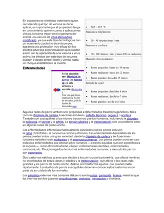 En ocasiones es el médico veterinario quien
recomienda qué tipo de vacuna se debe
aplicar, es importante que el propietario tenga
en conocimiento que en cuanto a aplicaciones
víricas, funciona mejor en el organismo del
animal una vacuna de virus atenuado o
modificado, ya que este tipo de biológicos dan
un incremento paulatino de anticuerpos,
logrando una protección muy eficaz sin los
efectos adversos postinoculación que pueden
existir con la aplicación de una vacuna a virus
activo; los efectos con este tipo de vacunas
pueden ir desde simple fiebre y vómito hasta
un choque anafiláctico o la muerte.
Enfermedades
Se ha sugerido
que Obesidad en
perros sea fusiona
do en este
artículo o
sección(discusión
).
Una vez que hayas
realizado la fusión
de artículos, pidela
fusión de
historiales aquí.
Algunas razas de perro también son propensas a determinados trastornos genéticos, tales
como la displasia de cadera, luxaciones rotulares, paladar leporino, ceguera o sordera.
También son susceptibles a los mismos trastornos que los humanos, incluyendo la diabetes,
la epilepsia, el cáncer y la artritis. La torsión gástrica y la meteorización son un problema serio
en algunas razas de pecho ancho.
Las enfermedades infecciosas habitualmente asociadas con los perros incluyen
la rabia (hidrofobia), el parvovirus canino y el bromo. Las enfermedades heredables de los
perros pueden incluir una gran variedad, desde la displasia de cadera y las luxaciones
rotulares mediales hasta epilepsias y el estenosis pulmonar. Los perros pueden contraer casi
todas las enfermedades que afectan a los humanos —excepto aquellas que son específicas a
la especie—, como el hipotiroidismo, cáncer, enfermedades dentales, enfermedades
cardíacas, etc. Para protegerlos de muchas enfermedades comunes, a menudo los perros
son vacunados.
Dos trastornos médicos graves que afectan a los perros son la piometría, que afecta hembras
no esterilizadas de todas clases y edades y la meteorización, que afecta a las razas más
grandes y los perros de pecho ancho. Ambos son trastornos agudos, que pueden matar
rápidamente. Los dueños de perros susceptibles deberían conocer estos trastornos como
parte de su cuidado de los animales.
Los parásitos externos más comunes del perro son la pulga, garrapata, ácaros, mientras que
los internos son los gusanos anquilostomas, cestodos, nematodos y dirofilaris.
 38,5 - 39,5 °C
Frecuencia respiratoria:
 20 - 40 respiraciones / min
Frecuencia cardíaca:
 70 - 180 latidos / min y hasta 220 en cachorros
Duración del crecimiento:
 Razas pequeñas:hasta los 10 meses
 Razas medianas: hasta los 12 meses
 Razas grandes: hasta los 15 meses
Período de vejez:
 Razas pequeñas:desde los 8 años
 Razas medianas: desde los 7 años
 Razas grandes: desde los 5 años
 