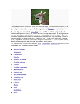 Los híbridos de primera generación —como esta mezcla de terrier— a menudo tienen una mejor salud
que cualquiera de sus padres a causa del fenómeno genético de la heterosis, o «vigor híbrido».
El perro, al igual que el resto de seres vivos, es susceptible de enfermar; algunas de estas
dolencias serán más propias de su especie, incluso con diversa incidencia en razas diferentes,
mientras que otras son comunes a los humanos —cáncer, diabetes, entre otras—. El animal
puede ser una fuente de contagio de determinadas enfermedades para el hombre, aunque la
mayoría de ellas no se transmiten entre ambos; por ello, y por la propia salud de la mascota,
es muy importante la correcta vacunación y desparasitación interna y externa regular; con ello,
y unos hábitos higiénicos adecuados, el perro estará sano y fuerte.
Las enfermedades pueden tener un motivo vírico, bacteriológico, parasitario, genético o varios
de ellos a la vez. Entre ellas pueden citarse:
 Alergias cutáneas
 Coronavirus
 Criptorquidia
 Diabetes
 Displasia de cadera
 Parásitos externos
 Epilepsia
 Parásitos intestinales
 Hepatitis canina
 Leptospirosis
 Moquillo o distemper
 Otitis infecciosa
 Parvovirosis
 Piómetra
 Piorrea
 Rabia
 Reumatismo
 Sarna
 