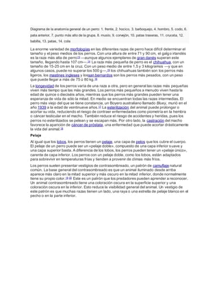 Diagrama de la anatomía general de un perro: 1. frente, 2. hocico, 3. barboquejo, 4. hombro, 5. codo, 6.
pata anterior, 7. punto más alto de la grupa, 8. muslo, 9. corvejón, 10. patas traseras, 11. cruceta, 12.
babilla, 13. patas, 14. cola
La enorme variedad de morfologías en las diferentes razas de perro hace difícil determinar el
tamaño y el peso medios de los perros. Con una altura de entre 71 y 90 cm, el galgo irlandés
es la raza más alta de perro13 —aunque algunos ejemplares de gran danés superan este
tamaño, llegando hasta 107 cm—.14 La raza más pequeña de perro es el chihuahua, con un
tamaño de 15-25 cm en la cruz. Con un peso medio de entre 1,5 y 3 kilogramos —y que en
algunos casos, puede no superar los 500 g—,15 los chihuahuas también son los perros más
ligeros, los mastines ingleses y lossan bernardos son los perros más pesados, con un peso
que puede llegar a más de 75 ú 80 kg.16
La longevidad de los perros varía de una raza a otra, pero en general las razas más pequeñas
viven más tiempo que las más grandes. Los perros más pequeños a menudo viven hasta la
edad de quince o dieciséis años, mientras que los perros más grandes pueden tener una
esperanza de vida de sólo la mitad. En medio se encuentran todas las razas intermedias. El
perro más viejo del que se tiene constancia, un Boyero australiano llamado Bluey, murió en el
año 1939 a la edad de veintinueve años.17 La esterilización del animal puede prolongar o
acortar su vida, reduciendo el riesgo de contraer enfermedades como piometría en la hembra
o cáncer testicular en el macho. También reduce el riesgo de accidentes y heridas, pues los
perros no esterilizados se pelean y se escapan más. Por otro lado, la castración del macho
favorece la aparición de cáncer de próstata, una enfermedad que puede acortar drásticamente
la vida del animal.18
Pelaje
Al igual que los lobos, los perros tienen un pelaje, una capa de pelos que los cubre el cuerpo.
El pelaje de un perro puede ser un «pelaje doble», compuesto de una capa inferior suave y
una capa superior basta. A diferencia de los lobos, los perros pueden tener un «pelaje único»,
carente de capa inferior. Los perros con un pelaje doble, como los lobos, están adaptados
para sobrevivir en temperaturas frías y tienden a provenir de climas más fríos.
Los perros suelen presentar vestigios de contrasombreado, un patrón de camuflaje natural
común. La base general del contrasombreado es que un animal iluminado desde arriba
aparece más claro en la mitad superior y más oscuro en la mitad inferior, donde normalmente
tiene su propio color.19 20 Este es un patrón que los predadores pueden aprender a reconocer.
Un animal contrasombreado tiene una coloración oscura en la superficie superior y una
coloración oscura en la inferior. Esto reduce la visibilidad general del animal. Un vestigio de
este patrón es que muchas razas tienen un lado, una raya o una estrella de pelaje blanco en el
pecho o en la parte inferior.
 