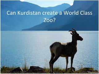 Can Kurdistan create a World Class
               Zoo?
 
